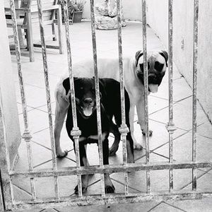 Meet your Posher, Hayden